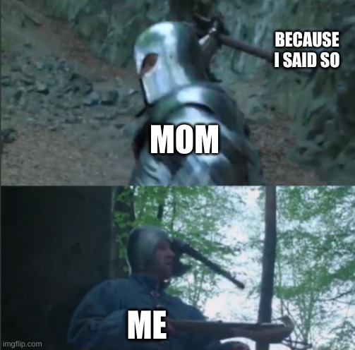 Axe to the Head | BECAUSE I SAID SO; MOM; ME | image tagged in axe to the head | made w/ Imgflip meme maker