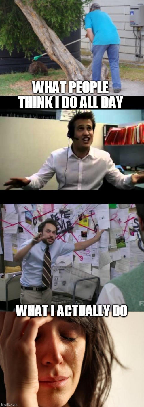 WHAT PEOPLE THINK I DO ALL DAY; WHAT I ACTUALLY DO | image tagged in memes,first world problems,charlie day | made w/ Imgflip meme maker
