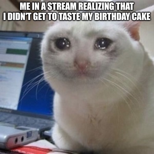 So, my birthday passed a few days ago and now I am sad because I realized I never even tasted my cake before my parents through  | ME IN A STREAM REALIZING THAT I DIDN'T GET TO TASTE MY BIRTHDAY CAKE | image tagged in crying cat | made w/ Imgflip meme maker