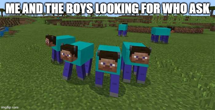 me and the boys | ME AND THE BOYS LOOKING FOR WHO ASK | image tagged in me and the boys | made w/ Imgflip meme maker