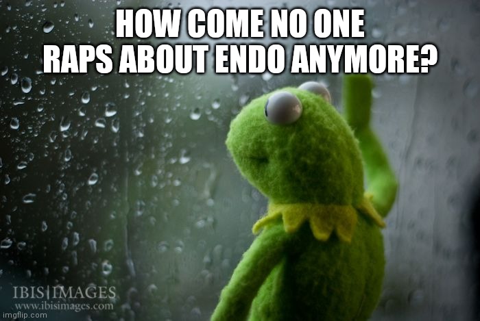 kermit window | HOW COME NO ONE RAPS ABOUT ENDO ANYMORE? | image tagged in kermit window | made w/ Imgflip meme maker