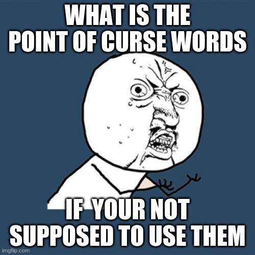 Why have a word that you're not supposed to say? | WHAT IS THE POINT OF CURSE WORDS; IF  YOUR NOT SUPPOSED TO USE THEM | image tagged in memes,y u no | made w/ Imgflip meme maker