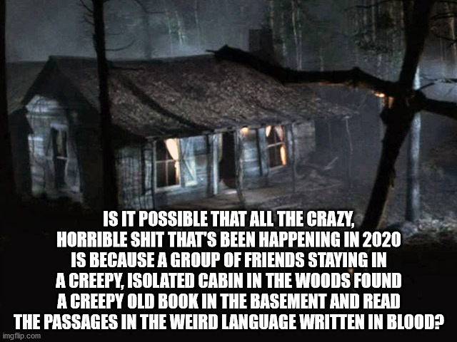 2020 Necronomicon? | IS IT POSSIBLE THAT ALL THE CRAZY, HORRIBLE SHIT THAT'S BEEN HAPPENING IN 2020 IS BECAUSE A GROUP OF FRIENDS STAYING IN A CREEPY, ISOLATED CABIN IN THE WOODS FOUND A CREEPY OLD BOOK IN THE BASEMENT AND READ THE PASSAGES IN THE WEIRD LANGUAGE WRITTEN IN BLOOD? | image tagged in evil dead,2020,cabin in the woods,curse,necronomicon | made w/ Imgflip meme maker