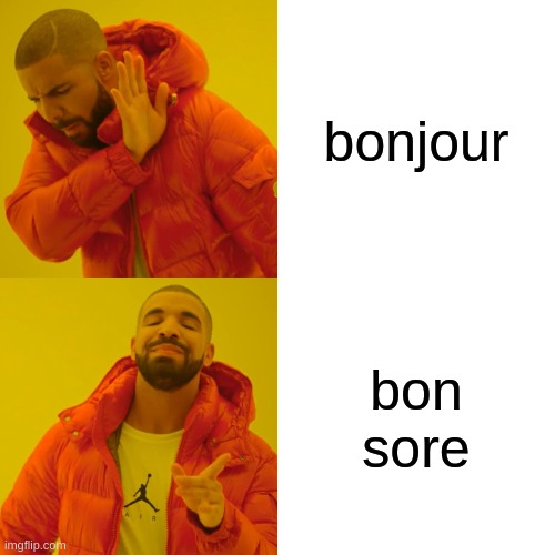 when subtitles see a different language | bonjour; bon sore | image tagged in memes,drake hotline bling | made w/ Imgflip meme maker