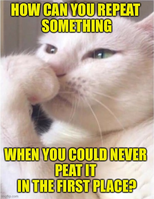 Peats Me | HOW CAN YOU REPEAT 
SOMETHING; WHEN YOU COULD NEVER 
PEAT IT 
IN THE FIRST PLACE? | image tagged in deep thoughts white cat,repeat | made w/ Imgflip meme maker