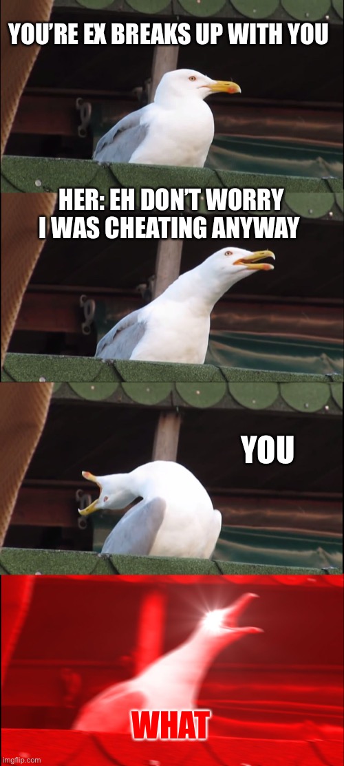 Ya | YOU’RE EX BREAKS UP WITH YOU; HER: EH DON’T WORRY I WAS CHEATING ANYWAY; YOU; WHAT | image tagged in memes,inhaling seagull | made w/ Imgflip meme maker