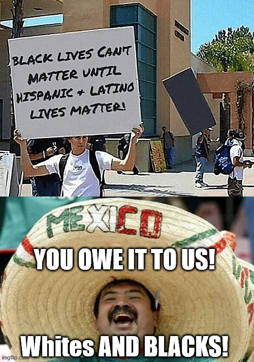 Hispanic and Latino Live Matter ... More! | YOU OWE IT TO US! Whites AND BLACKS! | image tagged in blm,hispanic,latino,protester,george floyd,illegal aliens | made w/ Imgflip meme maker