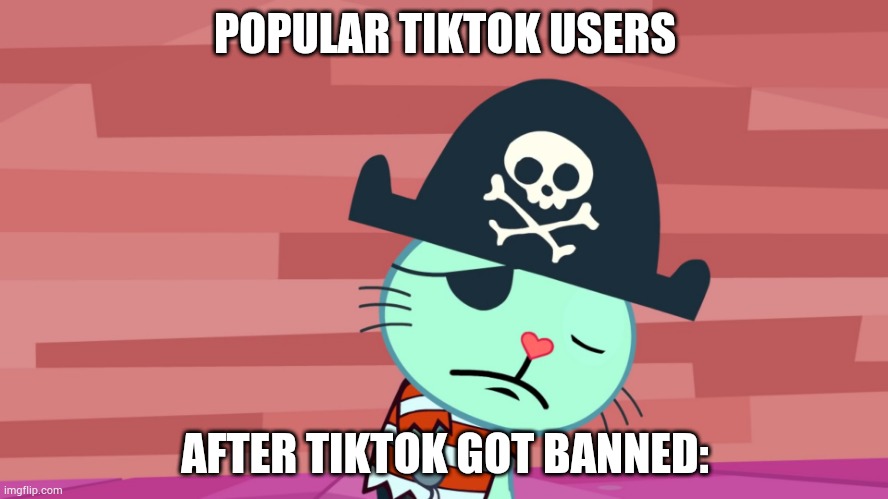Sad Russell | POPULAR TIKTOK USERS; AFTER TIKTOK GOT BANNED: | image tagged in sad russell | made w/ Imgflip meme maker