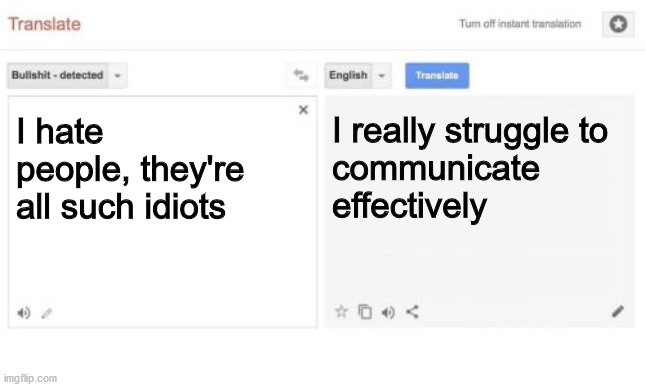 Hate People | I hate people, they're all such idiots; I really struggle to 
communicate 
effectively | image tagged in google translate | made w/ Imgflip meme maker