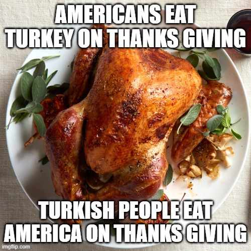 Turkey | AMERICANS EAT TURKEY ON THANKS GIVING; TURKISH PEOPLE EAT AMERICA ON THANKS GIVING | image tagged in turkeys | made w/ Imgflip meme maker