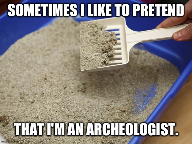 cat life | SOMETIMES I LIKE TO PRETEND; THAT I'M AN ARCHEOLOGIST. | image tagged in cats | made w/ Imgflip meme maker