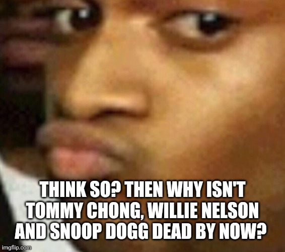 doubtful lips  | THINK SO? THEN WHY ISN'T TOMMY CHONG, WILLIE NELSON AND SNOOP DOGG DEAD BY NOW? | image tagged in doubtful lips | made w/ Imgflip meme maker