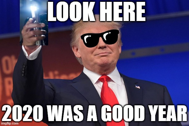 Donald Trump Forget About It | LOOK HERE; 2020 WAS A GOOD YEAR | image tagged in leonardo dicaprio cheers,mib,men in black,men in black meme,donald trump,donald trump approves | made w/ Imgflip meme maker