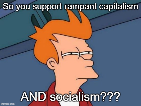 Futurama Fry Meme | So you support rampant capitalism AND socialism??? | image tagged in memes,futurama fry | made w/ Imgflip meme maker