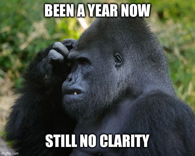 The President said something really important a year ago does anyone remember what it was? | BEEN A YEAR NOW; STILL NO CLARITY | image tagged in gorilla scratching head,memory,president | made w/ Imgflip meme maker