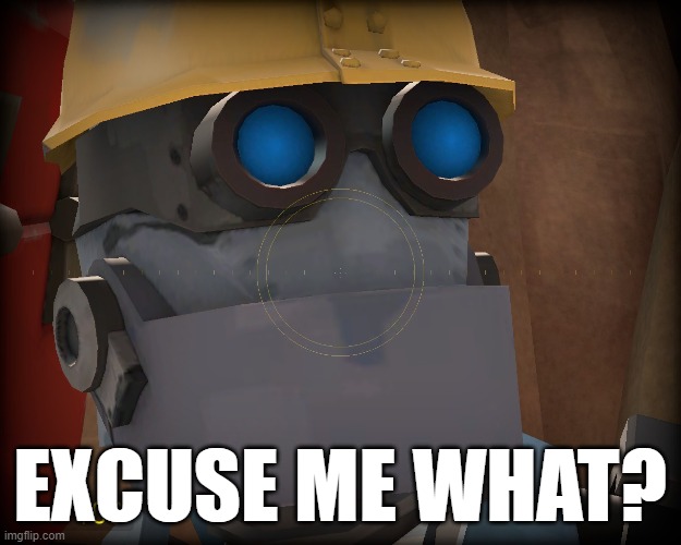 What? | EXCUSE ME WHAT? | image tagged in team fortress 2,engineer bot | made w/ Imgflip meme maker