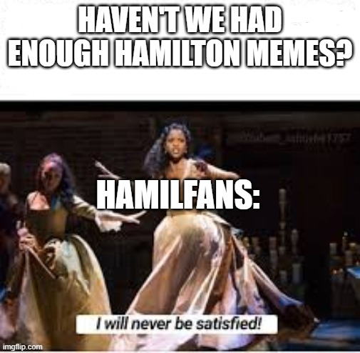 i made this. how many of us feel this way? | HAVEN'T WE HAD ENOUGH HAMILTON MEMES? HAMILFANS: | image tagged in memes,funny,repost,hamilton | made w/ Imgflip meme maker