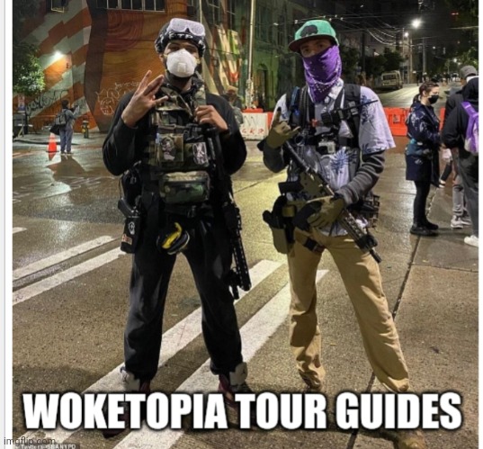 Woketopia | image tagged in idiots | made w/ Imgflip meme maker