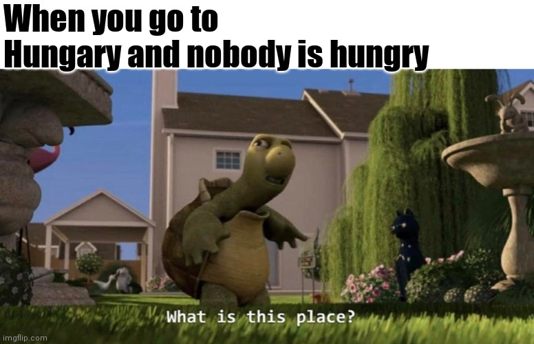 What is this place | When you go to Hungary and nobody is hungry | image tagged in what is this place | made w/ Imgflip meme maker