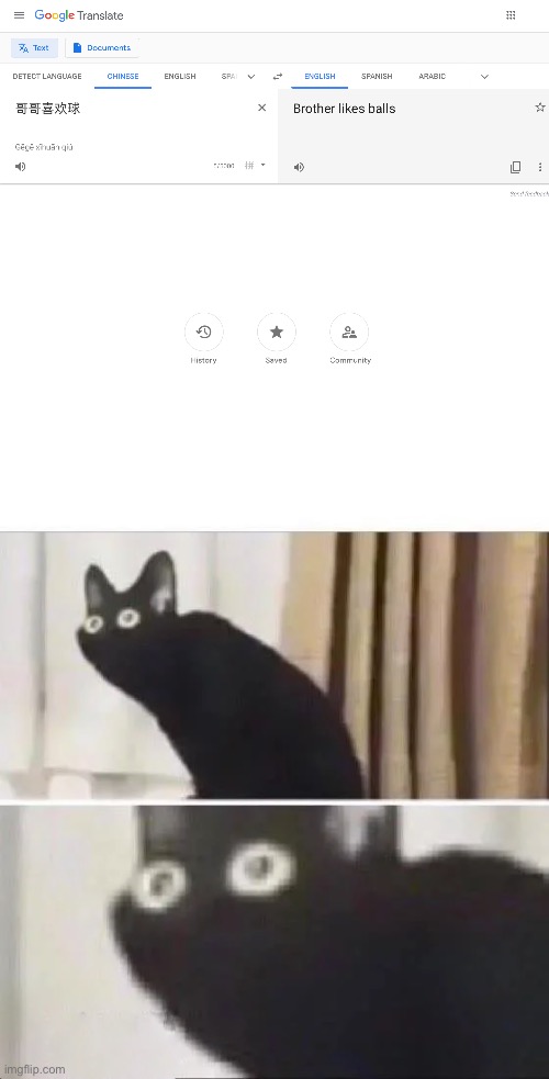 Oh no... | image tagged in oh no black cat | made w/ Imgflip meme maker