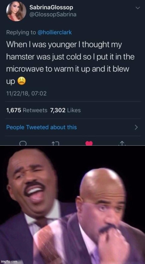 Poor hamster | image tagged in steve harvey laughing serious,memes,funny,hamster,microwave | made w/ Imgflip meme maker