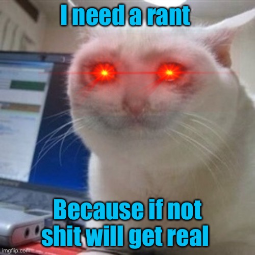 Crying cat | I need a rant; Because if not shit will get real | image tagged in crying cat | made w/ Imgflip meme maker