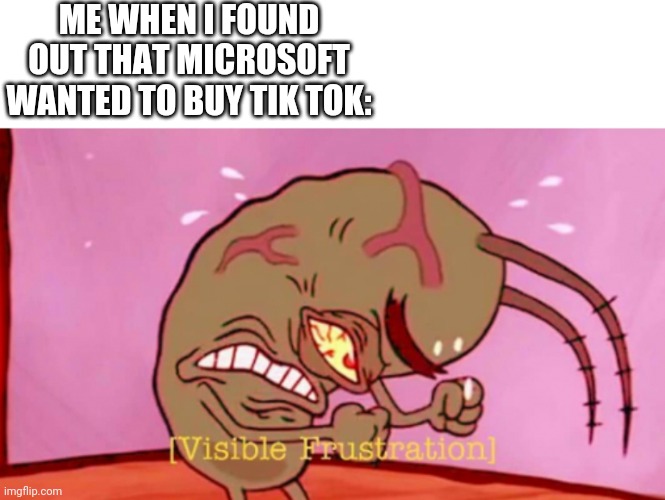 That Wasn't Suppose To Happen (we seriously need a meeting about that) | ME WHEN I FOUND OUT THAT MICROSOFT WANTED TO BUY TIK TOK: | image tagged in cringin plankton / visible frustation | made w/ Imgflip meme maker