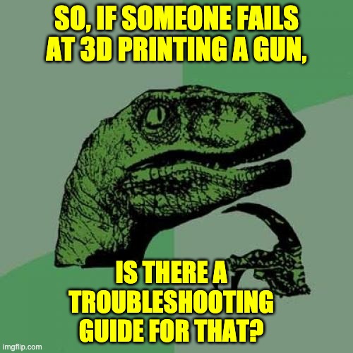 Hmmmm | SO, IF SOMEONE FAILS AT 3D PRINTING A GUN, IS THERE A TROUBLESHOOTING GUIDE FOR THAT? | image tagged in memes,philosoraptor | made w/ Imgflip meme maker