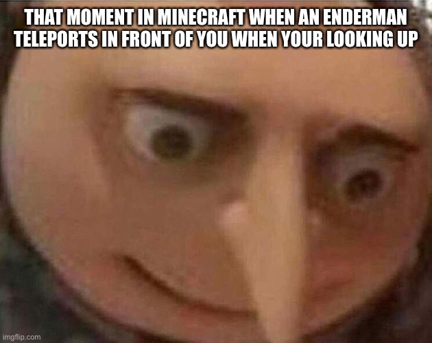 gru meme | THAT MOMENT IN MINECRAFT WHEN AN ENDERMAN TELEPORTS IN FRONT OF YOU WHEN YOUR LOOKING UP | image tagged in gru meme | made w/ Imgflip meme maker