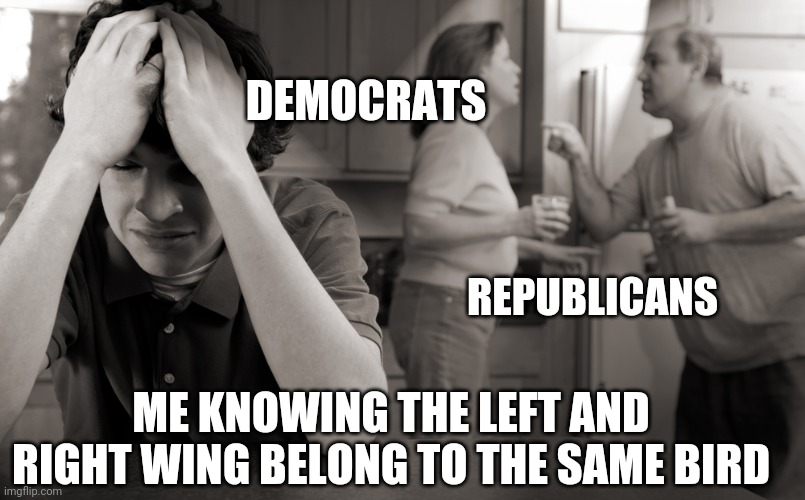 Right wing left wing | DEMOCRATS; REPUBLICANS; ME KNOWING THE LEFT AND RIGHT WING BELONG TO THE SAME BIRD | image tagged in parents fighting | made w/ Imgflip meme maker
