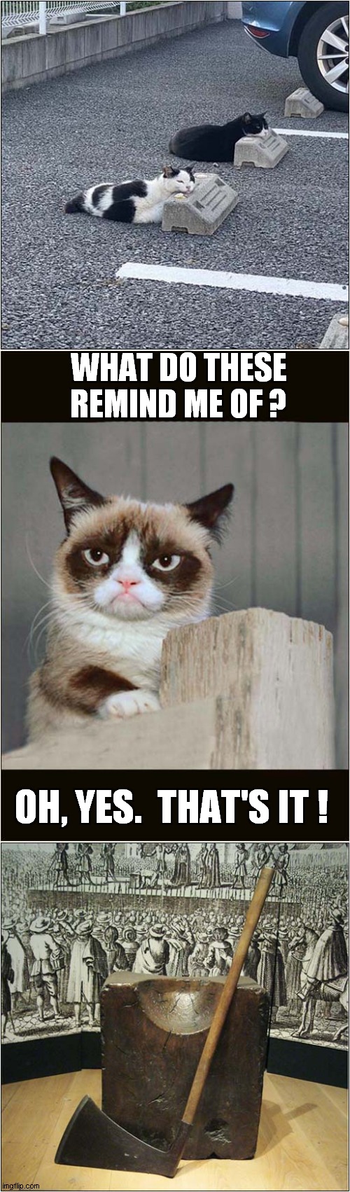 Grumpy Asks, Where's My Axe ? | WHAT DO THESE REMIND ME OF ? OH, YES.  THAT'S IT ! | image tagged in fun,grumpy cat,execution | made w/ Imgflip meme maker