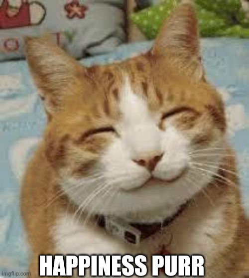 Happy cat | HAPPINESS PURR | image tagged in happy cat | made w/ Imgflip meme maker