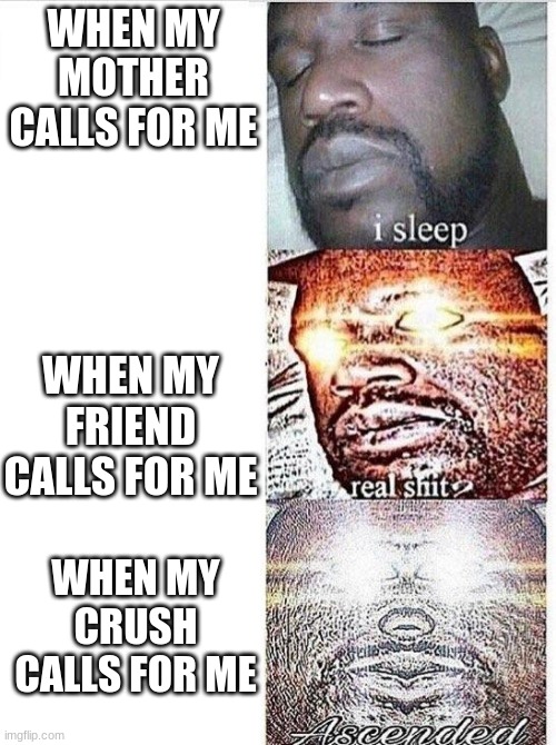 I running for the hills baby | WHEN MY MOTHER CALLS FOR ME; WHEN MY FRIEND CALLS FOR ME; WHEN MY CRUSH CALLS FOR ME | image tagged in i sleep meme with ascended template,i sleep,memes,dank memes | made w/ Imgflip meme maker