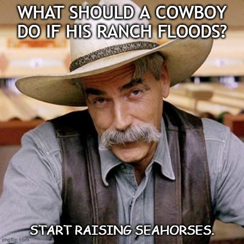 Daily Bad Dad Joke August 6 2020 | WHAT SHOULD A COWBOY DO IF HIS RANCH FLOODS? START RAISING SEAHORSES. | image tagged in sarcasm cowboy | made w/ Imgflip meme maker