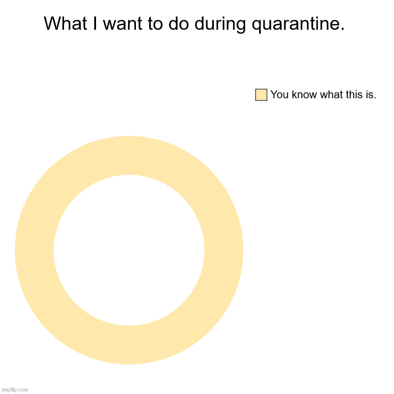 What I want to do during quarantine. | You know what this is. | image tagged in charts,donut charts | made w/ Imgflip chart maker