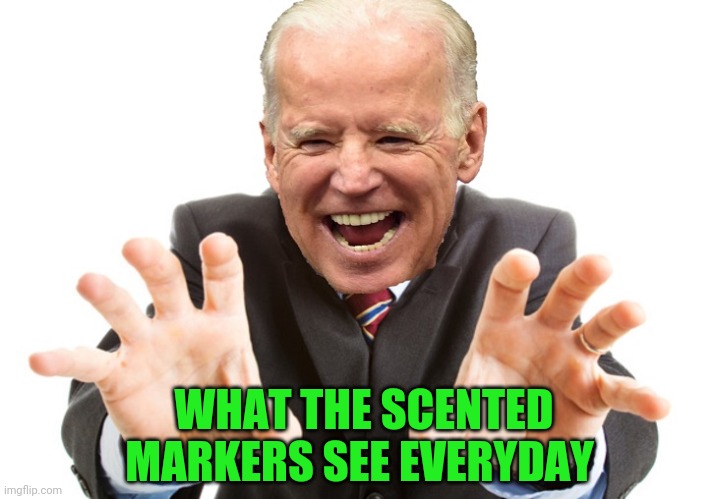 Joe Biden | WHAT THE SCENTED MARKERS SEE EVERYDAY | image tagged in joe biden | made w/ Imgflip meme maker
