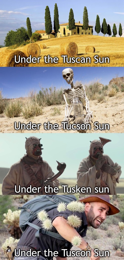 When people spell Tucson wrong |  Under the Tuscan Sun; Under the Tucson Sun; Under the Tusken sun; Under the Tuscon Sun | image tagged in funny,spelling error,star wars,desert,arizona,cactus | made w/ Imgflip meme maker