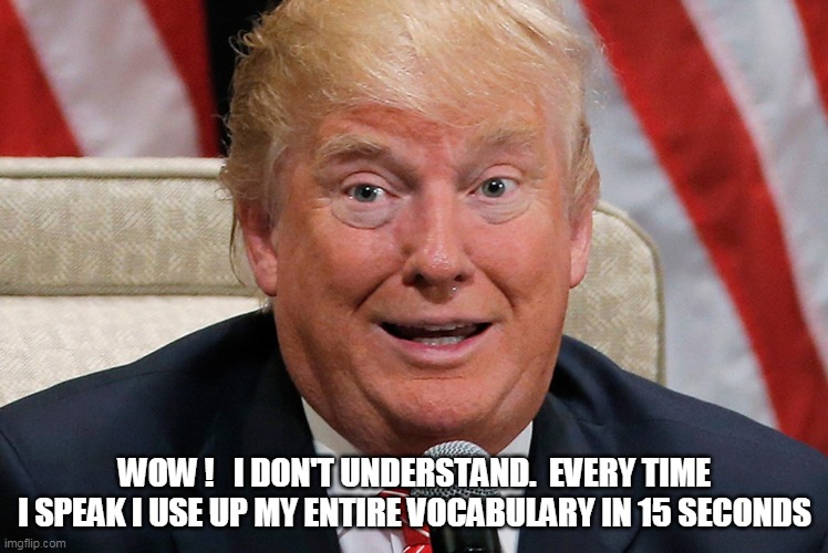 my vocabulary | WOW !   I DON'T UNDERSTAND.  EVERY TIME I SPEAK I USE UP MY ENTIRE VOCABULARY IN 15 SECONDS | image tagged in donald trump | made w/ Imgflip meme maker