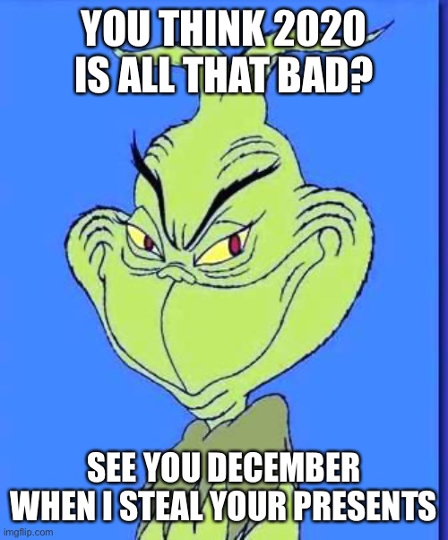 Good Grinch |  YOU THINK 2020 IS ALL THAT BAD? SEE YOU DECEMBER WHEN I STEAL YOUR PRESENTS | image tagged in good grinch,2020,memes | made w/ Imgflip meme maker