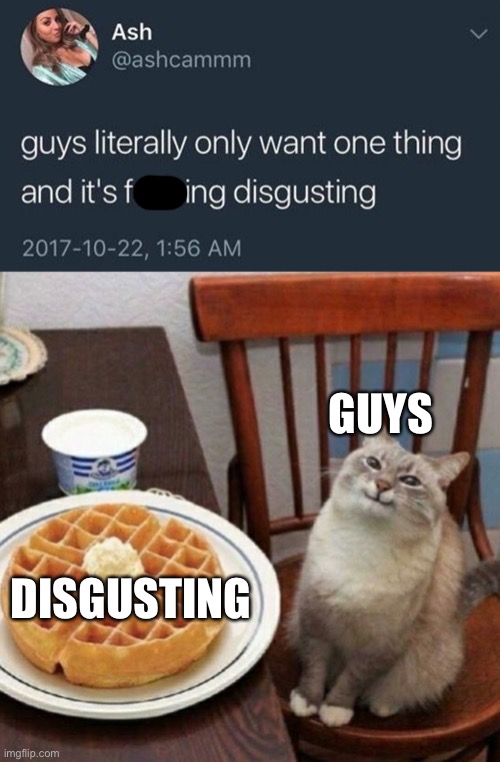 Came up with this idea a while ago | GUYS; DISGUSTING | image tagged in cat likes their waffle,guys literally only want one thing | made w/ Imgflip meme maker