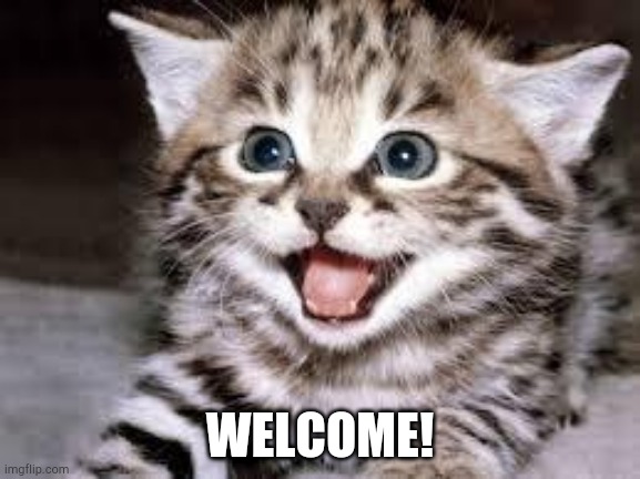 happy cat | WELCOME! | image tagged in happy cat | made w/ Imgflip meme maker