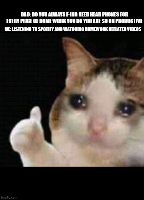 Approved crying cat | DAD: DO YOU ALWAYS F-ING NEED HEAD PHONES FOR EVERY PEICE OF HOME WORK YOU DO YOU ARE SO UN PRODUCTIVE; ME: LISTENING TO SPOTIFY AND WATCHING HOMEWORK REFLATED VIDEOS | image tagged in approved crying cat | made w/ Imgflip meme maker