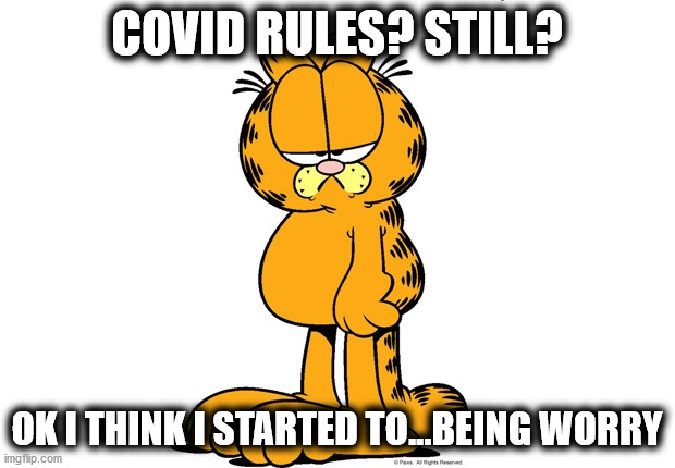 use mask | COVID RULES? STILL? OK I THINK I STARTED TO...BEING WORRY | image tagged in grumpy garfield,use mask,do it,survive,covid19,together | made w/ Imgflip meme maker