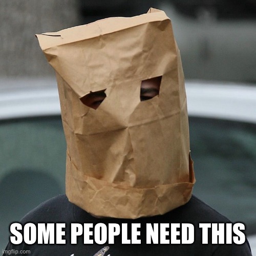 Bag on head | SOME PEOPLE NEED THIS | image tagged in bag on head | made w/ Imgflip meme maker