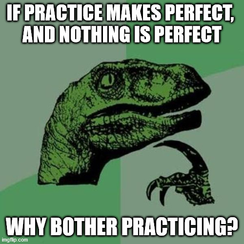 raptor | IF PRACTICE MAKES PERFECT, 
AND NOTHING IS PERFECT; WHY BOTHER PRACTICING? | image tagged in raptor | made w/ Imgflip meme maker