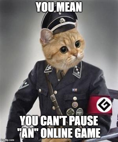 Grammar Nazi Cat | YOU MEAN YOU CAN'T PAUSE "AN" ONLINE GAME | image tagged in grammar nazi cat | made w/ Imgflip meme maker