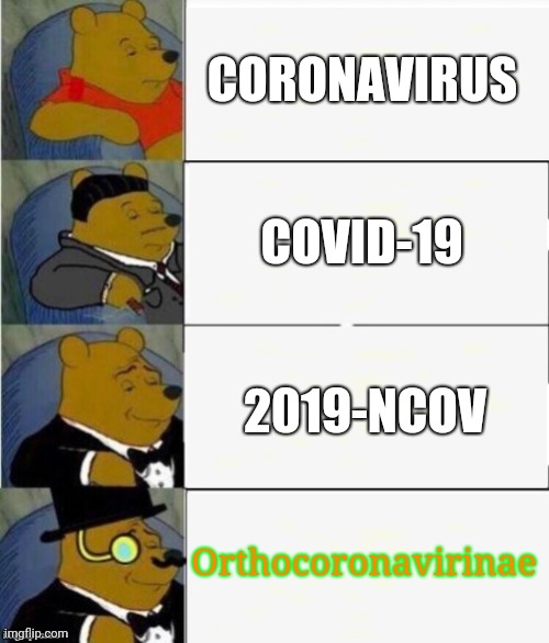 Coronavirus (COVID-19) in Roblox GIF - Imgflip