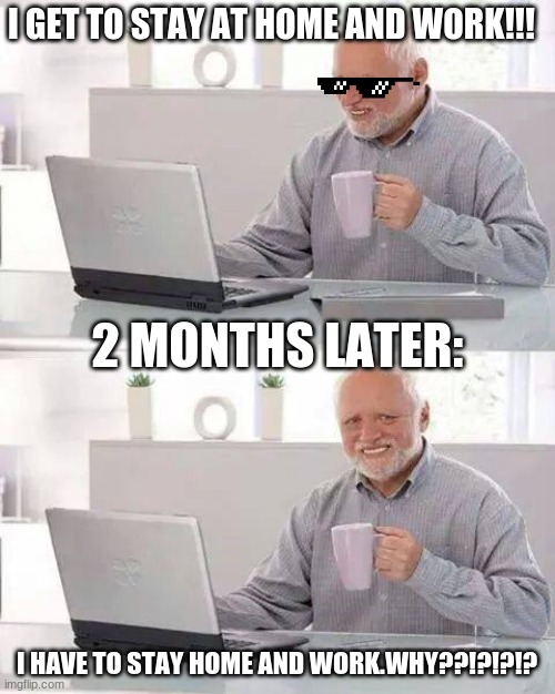 Hide the Pain Harold | I GET TO STAY AT HOME AND WORK!!! 2 MONTHS LATER:; I HAVE TO STAY HOME AND WORK.WHY??!?!?!? | image tagged in memes,hide the pain harold | made w/ Imgflip meme maker