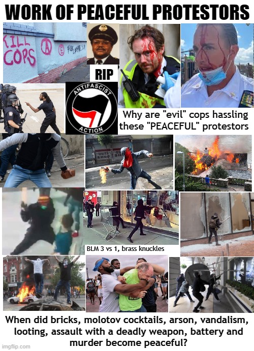 "Peaceful" Protest Montage | WORK OF PEACEFUL PROTESTORS; RIP; Why are "evil" cops hassling these "PEACEFUL" protestors; BLM 3 vs 1, brass knuckles; When did bricks, molotov cocktails, arson, vandalism,
 looting, assault with a deadly weapon, battery and
 murder become peaceful? | image tagged in peaceful protest,antifa,blm,anarchist,riot,looting | made w/ Imgflip meme maker