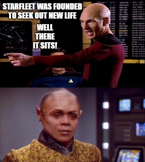 Tuvix Was murdered | STARFLEET WAS FOUNDED TO SEEK OUT NEW LIFE; WELL THERE IT SITS! | image tagged in tuvix,startrek | made w/ Imgflip meme maker